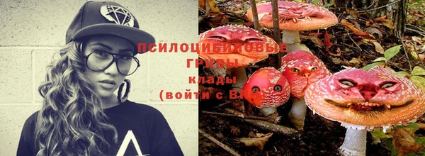 ешки Алексин