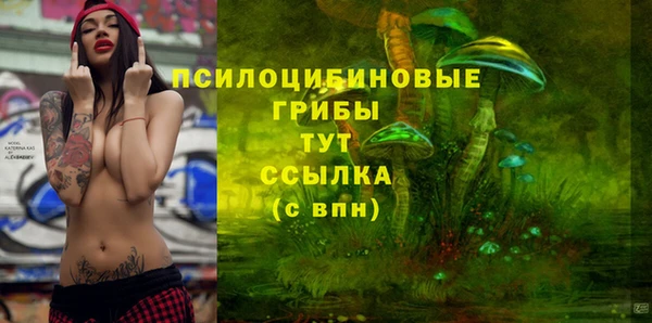 ешки Алексин